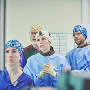 A team of veterinary cardiologists at work.