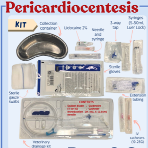 Part of a diagram showing a variety of items needed for a Pericardiocentesis kit