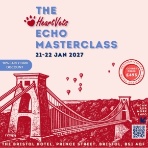 Part of flyer for Echo Masterclass course – full flyer in article