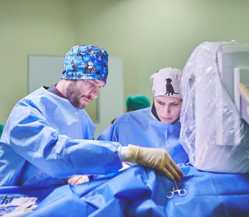 Heart vets working at surgery