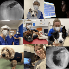 Screenshot 2021-03-23 at 11.05.26