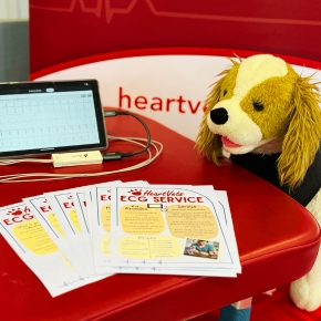 plush toy dog next to a table with information about HeartVet's ECG service