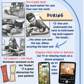 Part of a diagram showing echo handling hacks for cats