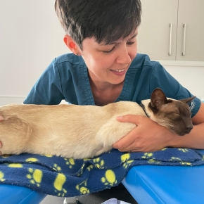 Cat with a female vet